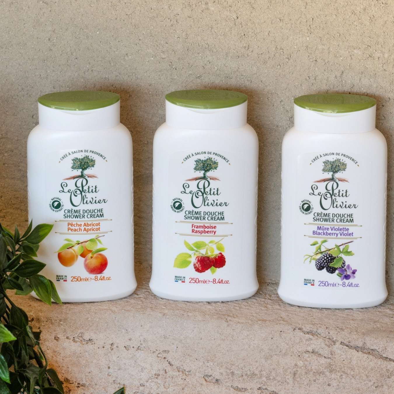 Image du produit 7
